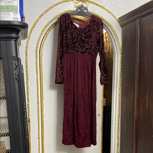 Vintage Sarah Elizabeth Wine Velvet Burnout Maxi Dress | Romantic Gothic Size 12